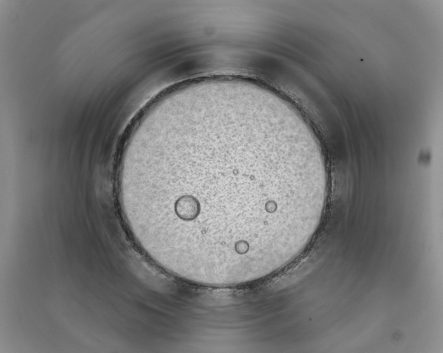 X0000090700828200708171844