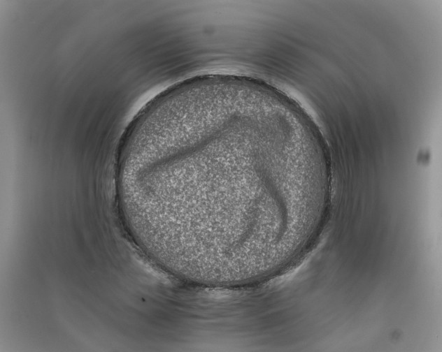 X0000090700829200708171844