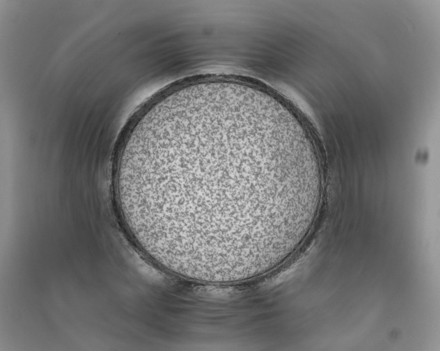 X0000090700831200708171844