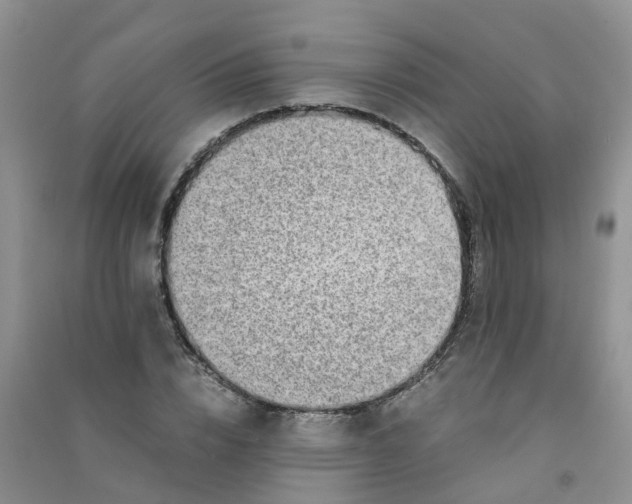 X0000090700832200708171844