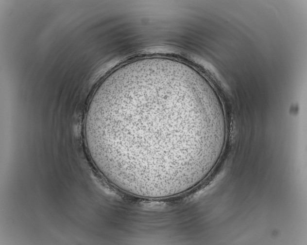 X0000090700833200708171844