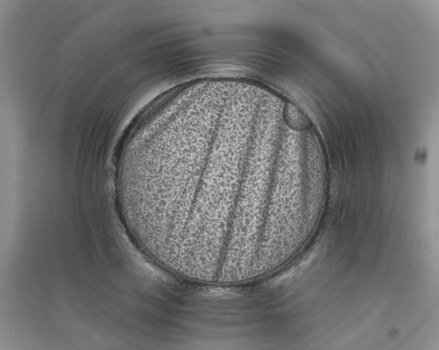 X0000090700835200708171844