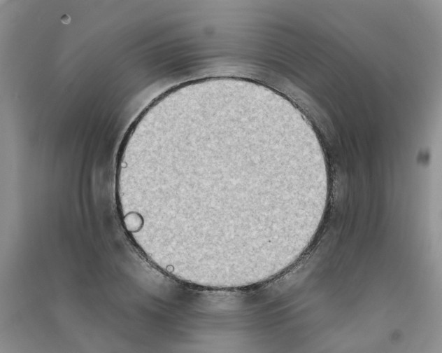 X0000090700836200708171844