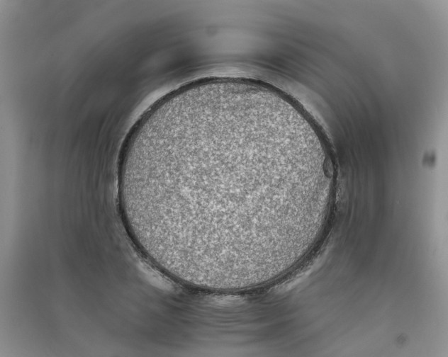 X0000090700837200708171844