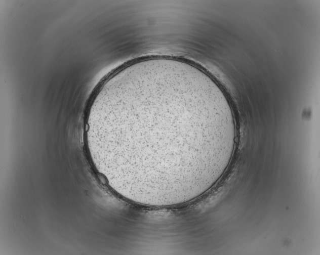 X0000090700838200708171844