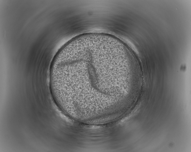 X0000090700839200708171844