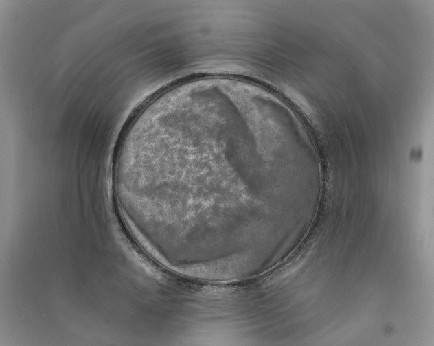 X0000090700840200708171844