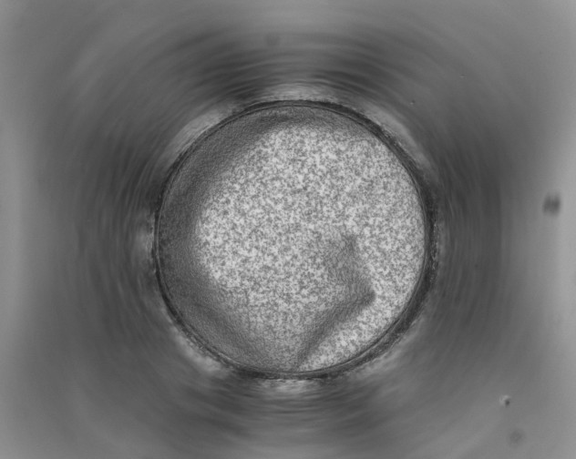 X0000090700841200708171844