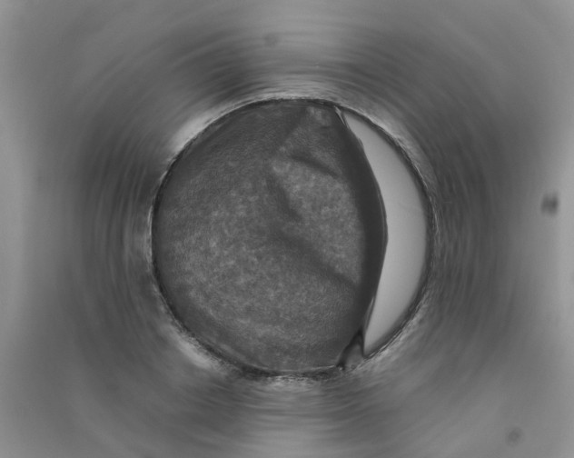 X0000090700842200708171844