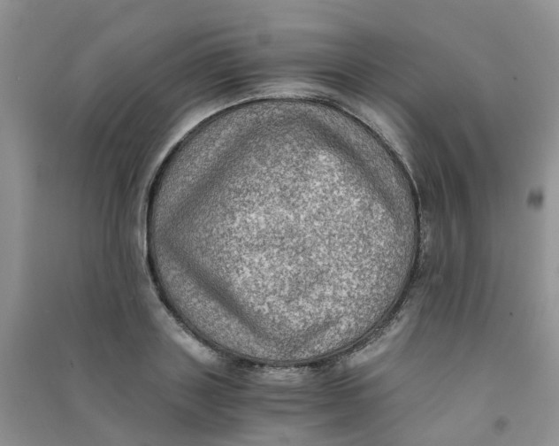 X0000090700843200708171844