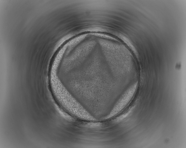 X0000090700845200708171844