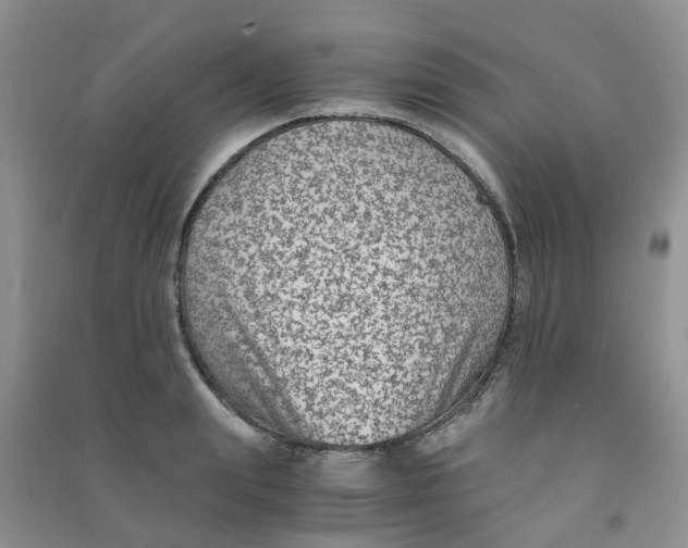 X0000090700847200708171844