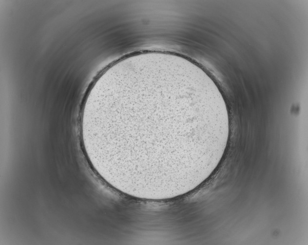 X0000090700848200708171844