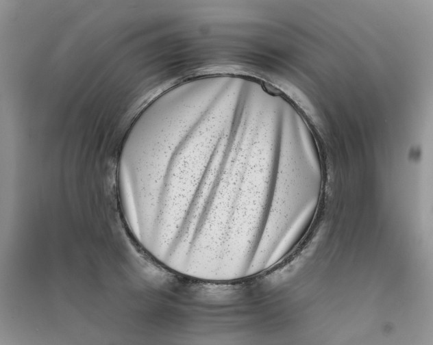 X0000090700849200708171844