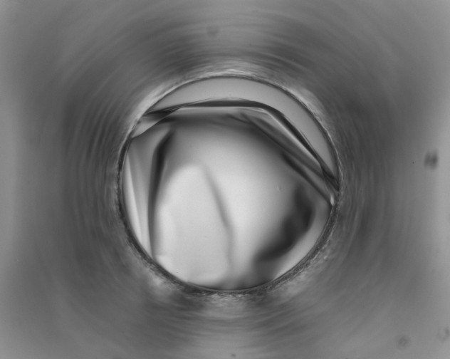 X0000090700850200708171844