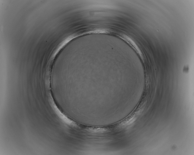 X0000090700851200708171844