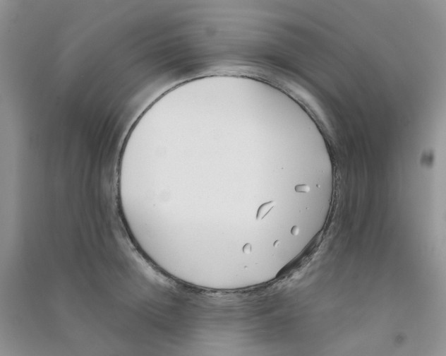 X0000090700852200708171844