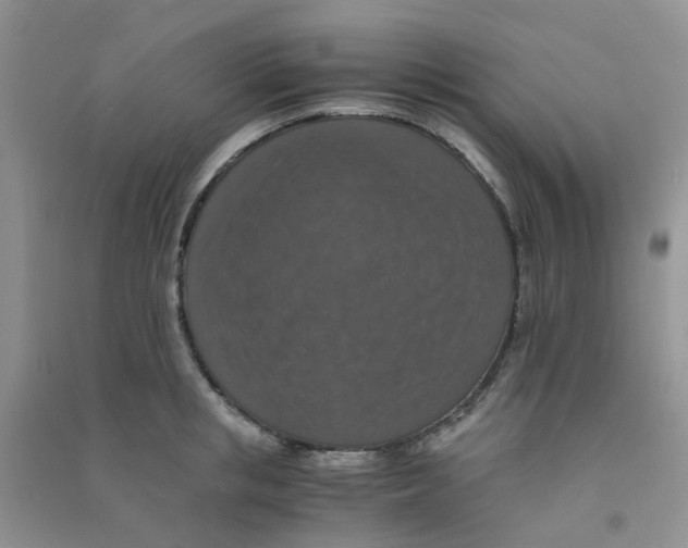 X0000090700853200708171844