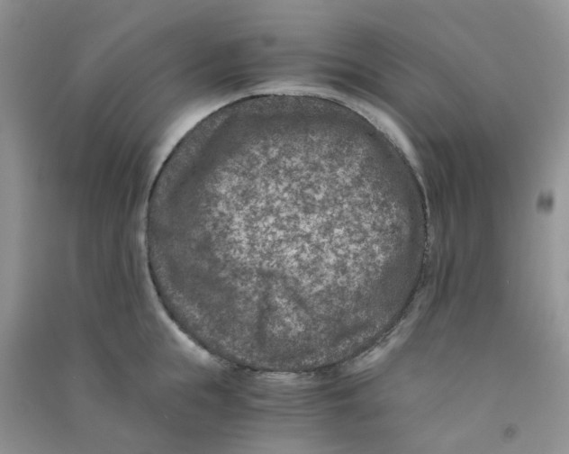 X0000090700855200708171845