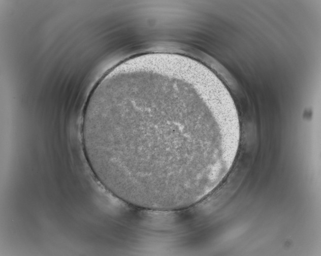 X0000090700856200708171845