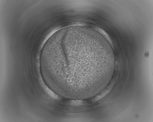 X0000090700859200708171845