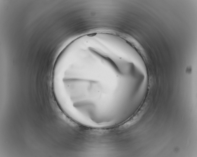 X0000090700860200708171845