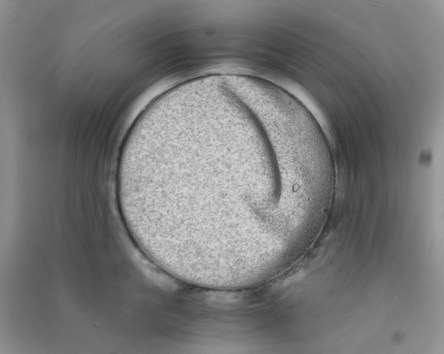 X0000090700861200708171845