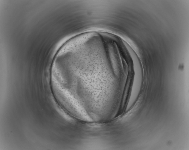 X0000090700862200708171845