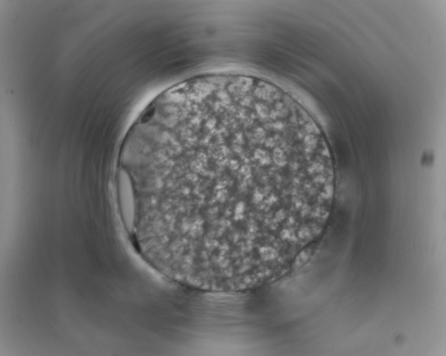 X0000090700863200708171845