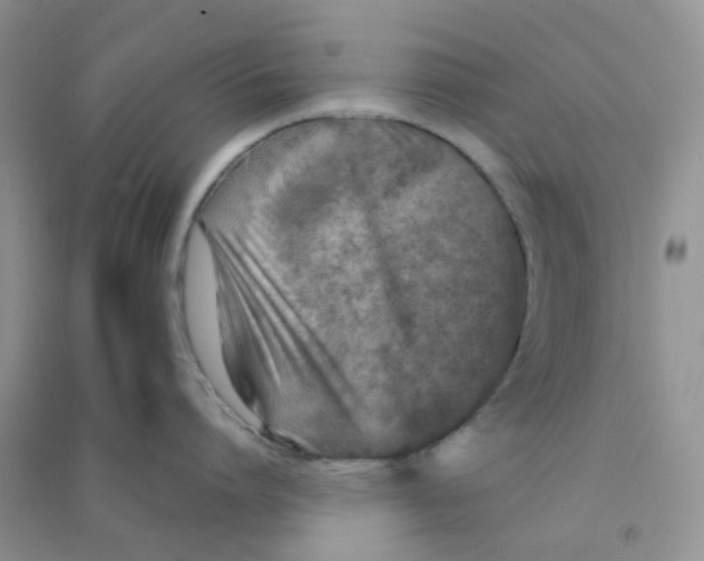 X0000090700864200708171845