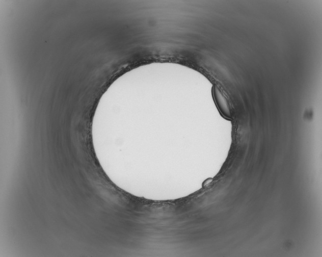 X0000090700865200708171844