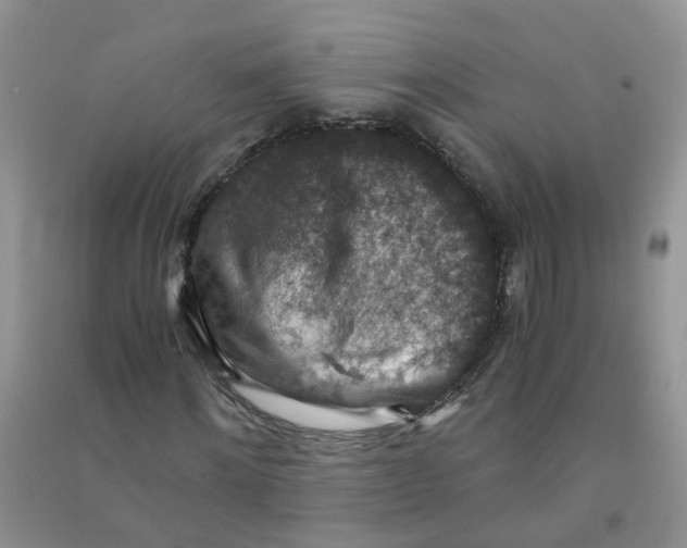 X0000090700868200708171844