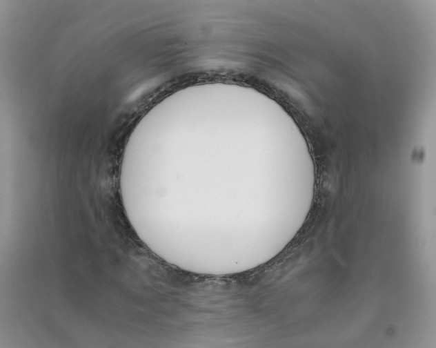 X0000090700869200708171844