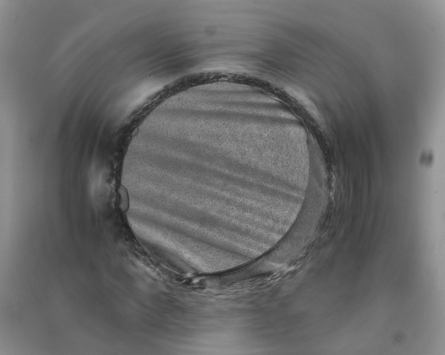 X0000090700872200708171844