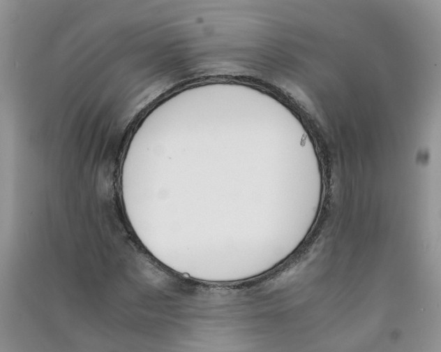 X0000090700873200708171844