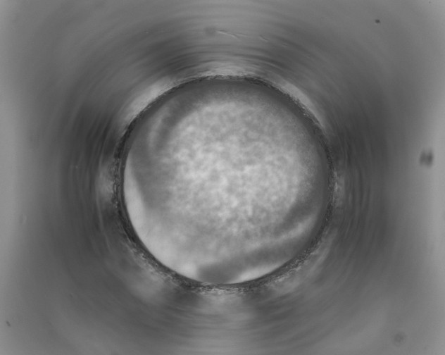 X0000090700874200708171844