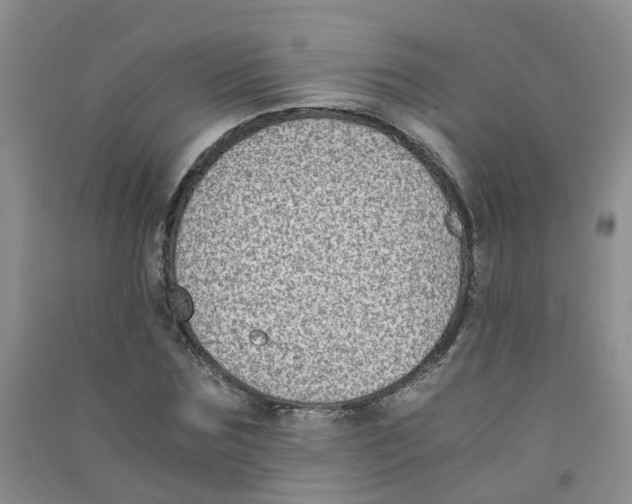 X0000090700875200708171844