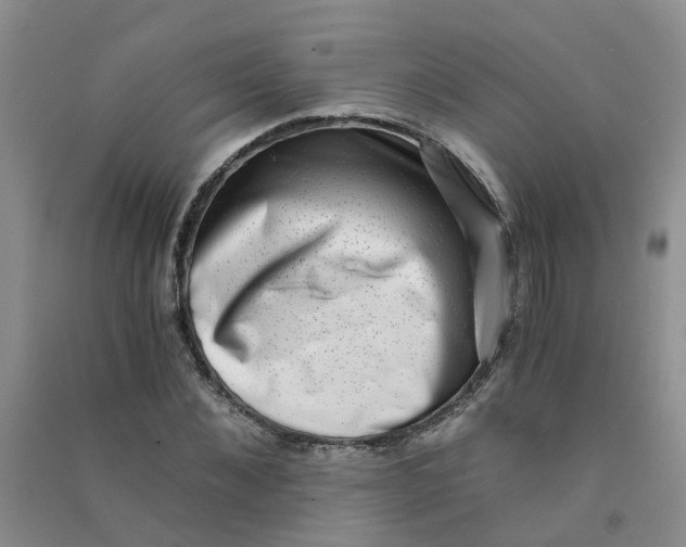 X0000090700876200708171844