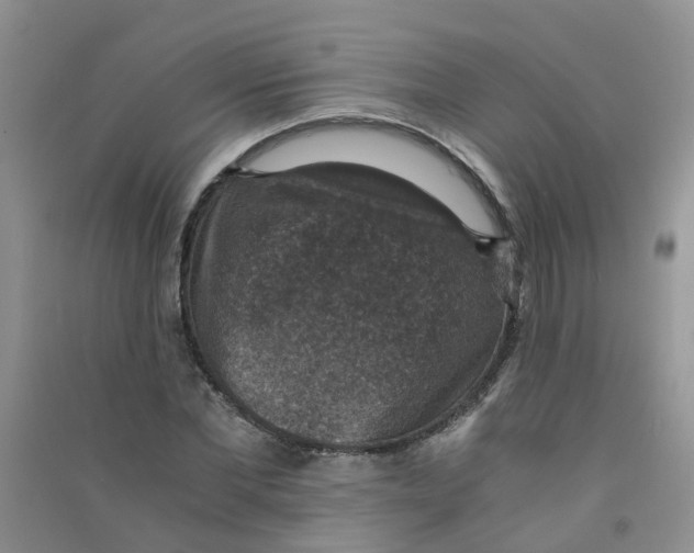 X0000090700877200708171844