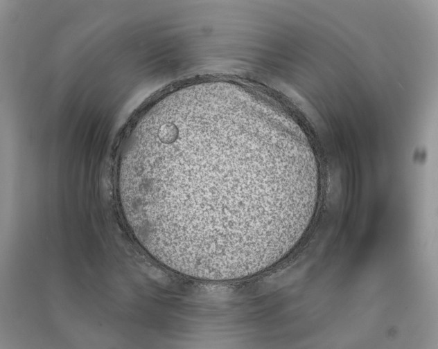 X0000090700878200708171844