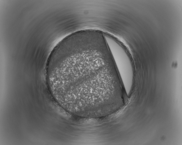 X0000090700879200708171844