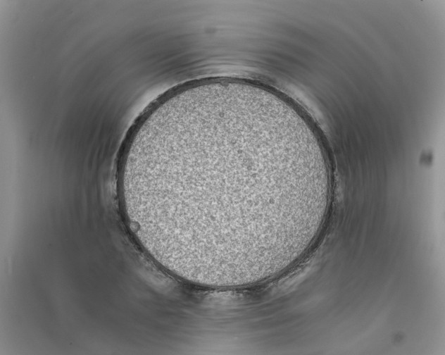 X0000090700883200708171844