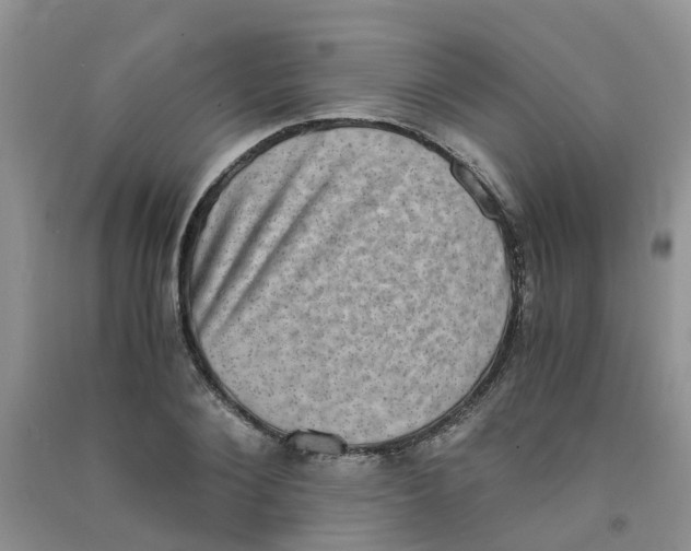 X0000090700884200708171844