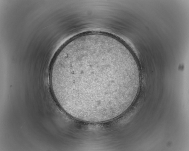 X0000090700887200708171844