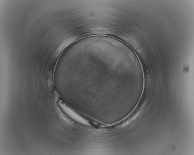 X0000090700889200708171844