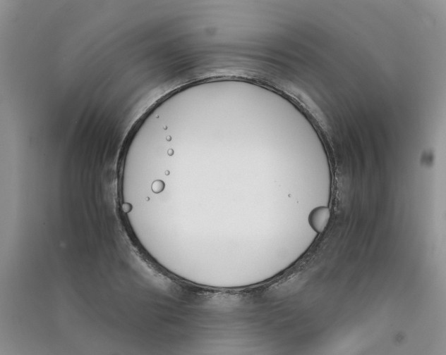 X0000090700890200708171844