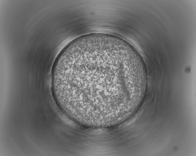 X0000090700891200708171844