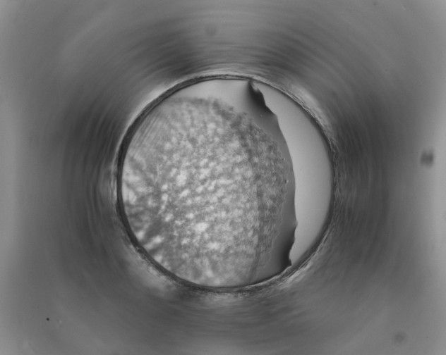 X0000090700892200708171844