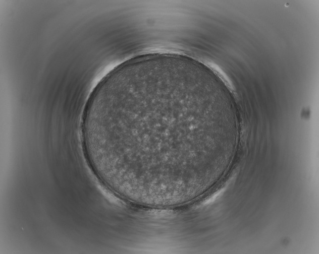 X0000090700893200708171844