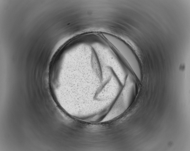 X0000090700894200708171844